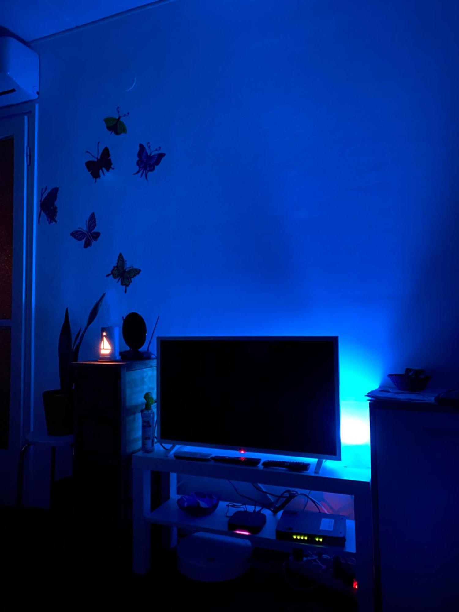 Apartman Colorful Urban Oasis